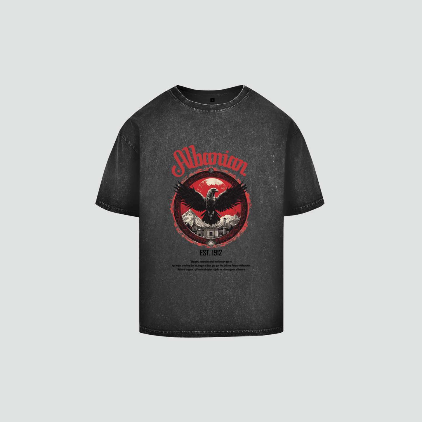 ALBANIAN 1 - Oversize Washed Shirt