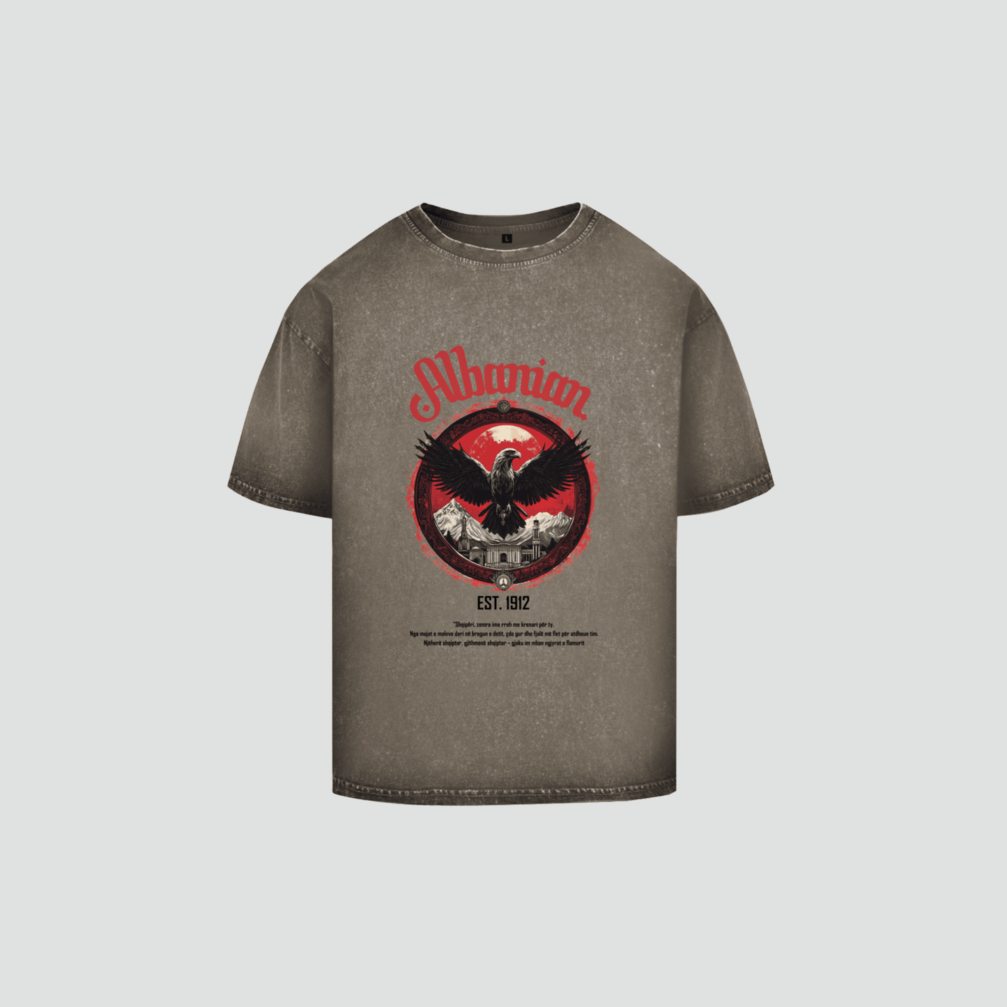ALBANIAN 1 - Oversize Washed Shirt