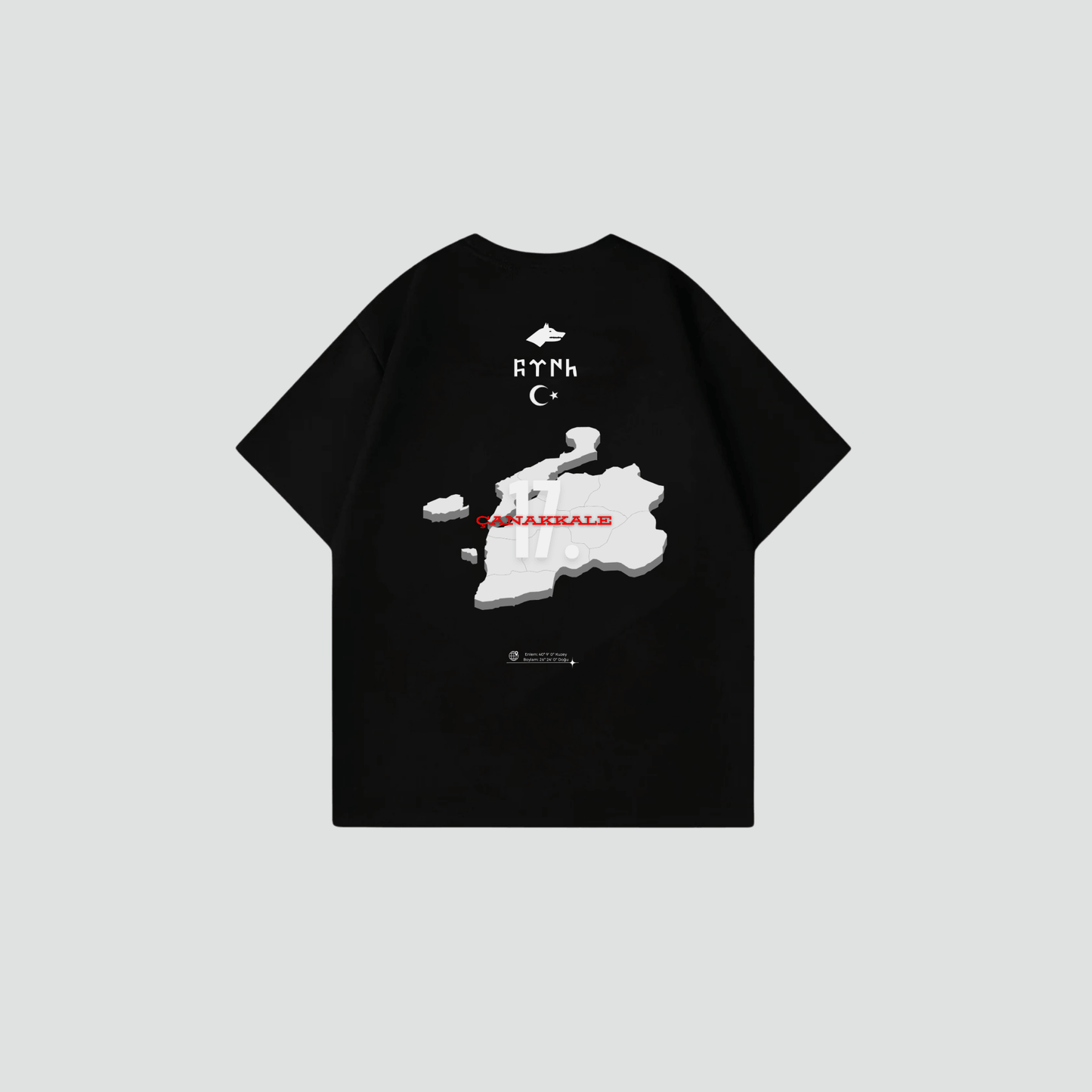 CANAKKALE 17 - Oversize Shirt Backprint