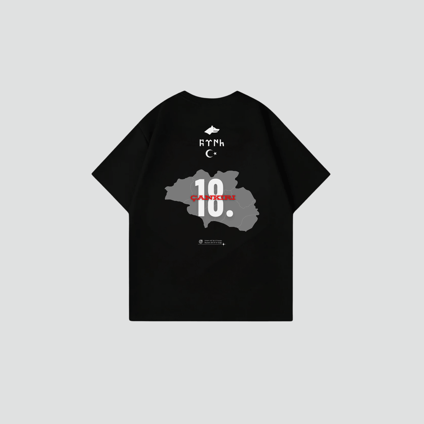 CANKIRI 18 - Oversize Shirt Backprint