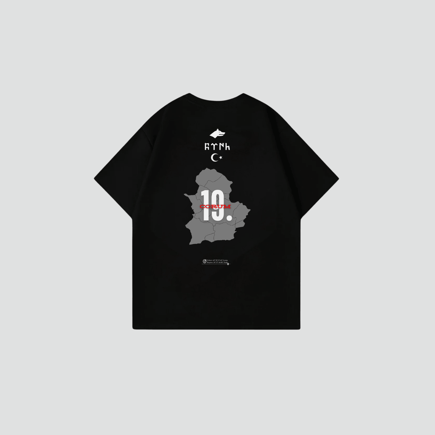 CORUM 19 - Oversize Shirt Backprint