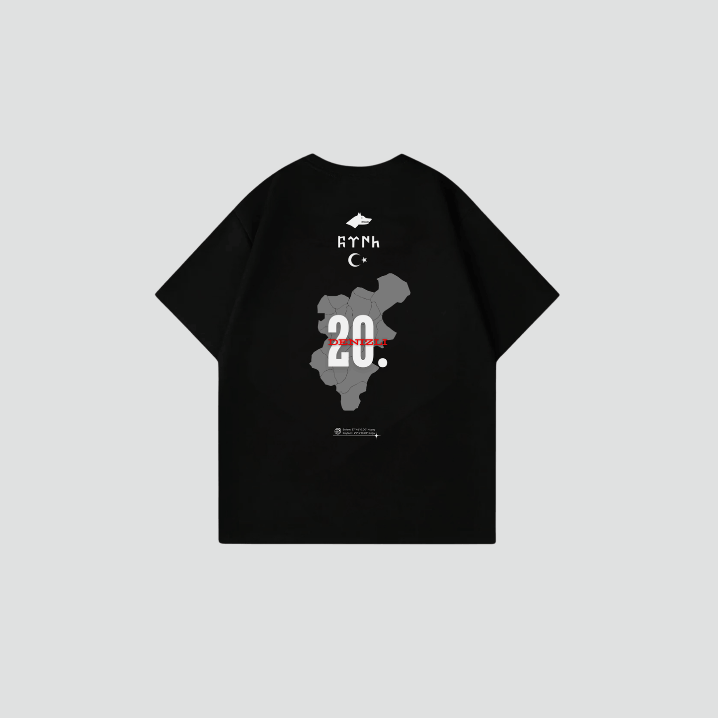 DENIZLI 20 - Oversize Shirt Backprint