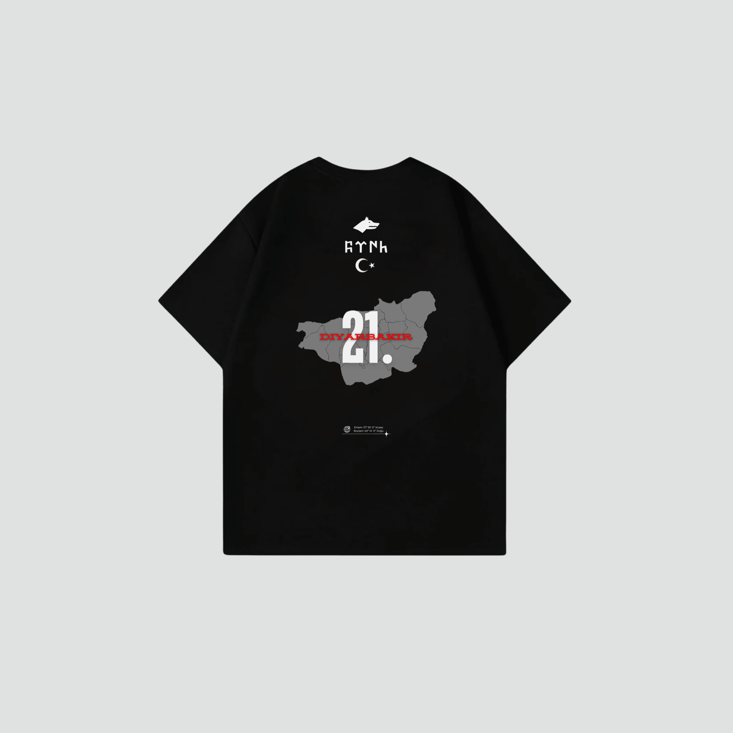 DIYARBAKIR 21 - Oversize Shirt Achterkantprint