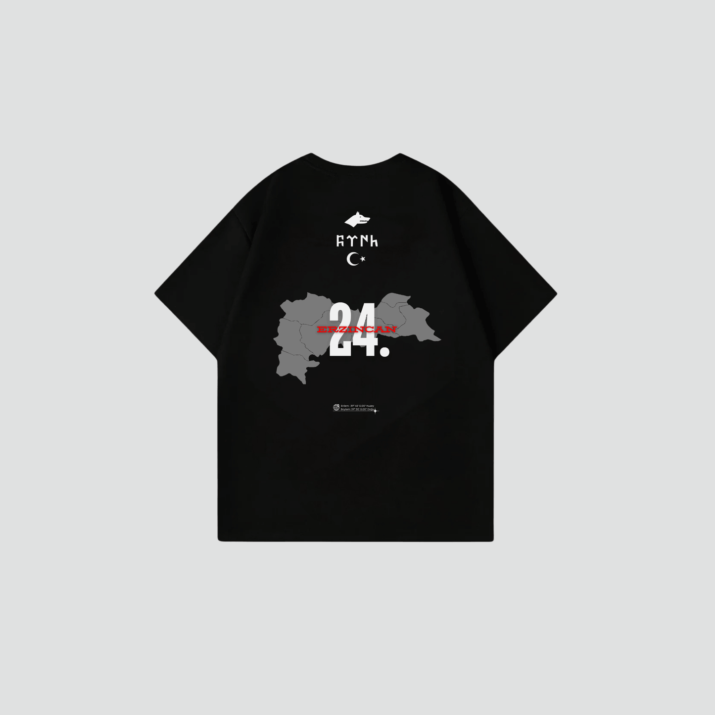 ERZINCAN 24 - Oversize Shirt Backprint