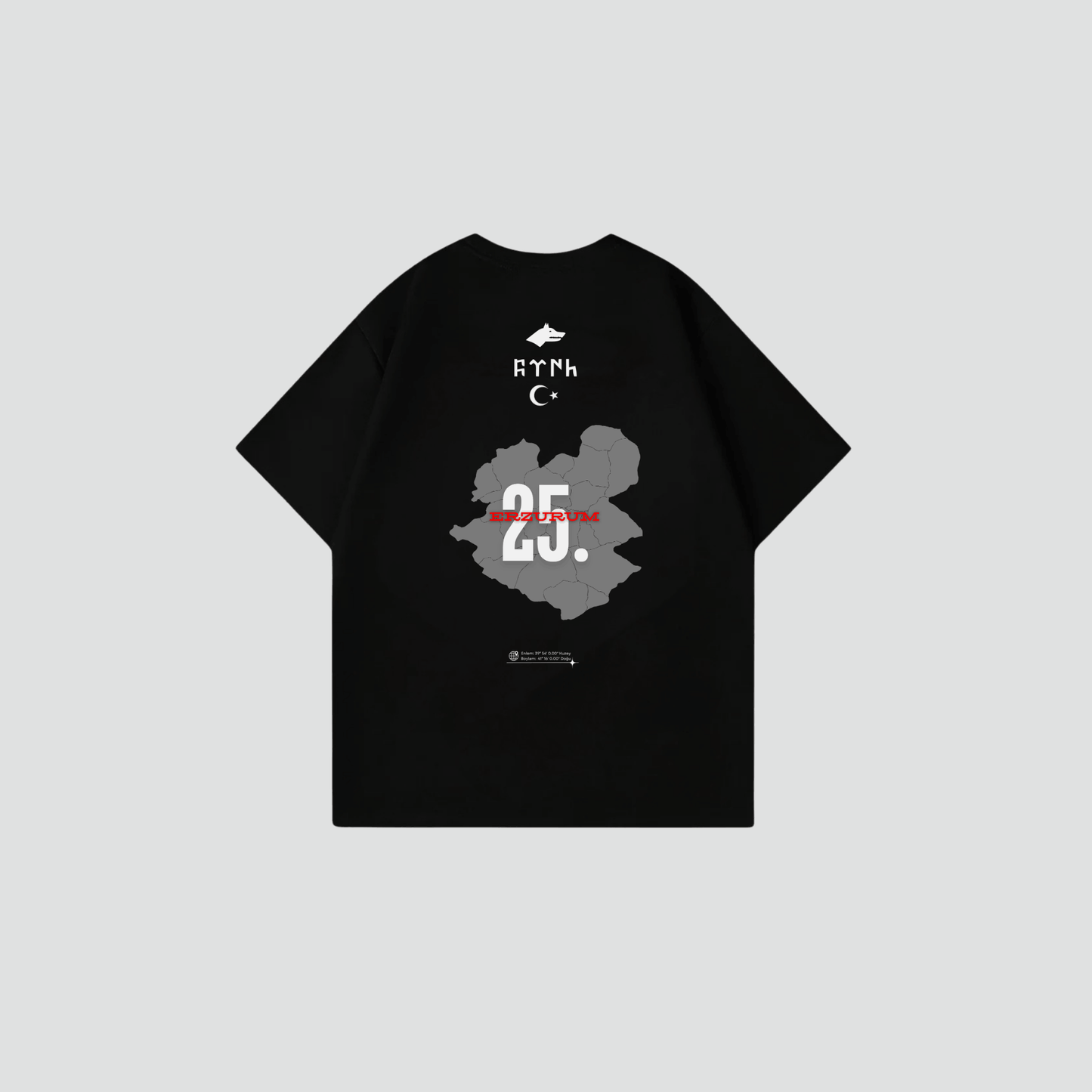 ERZURUM 25 - Oversize Shirt Backprint