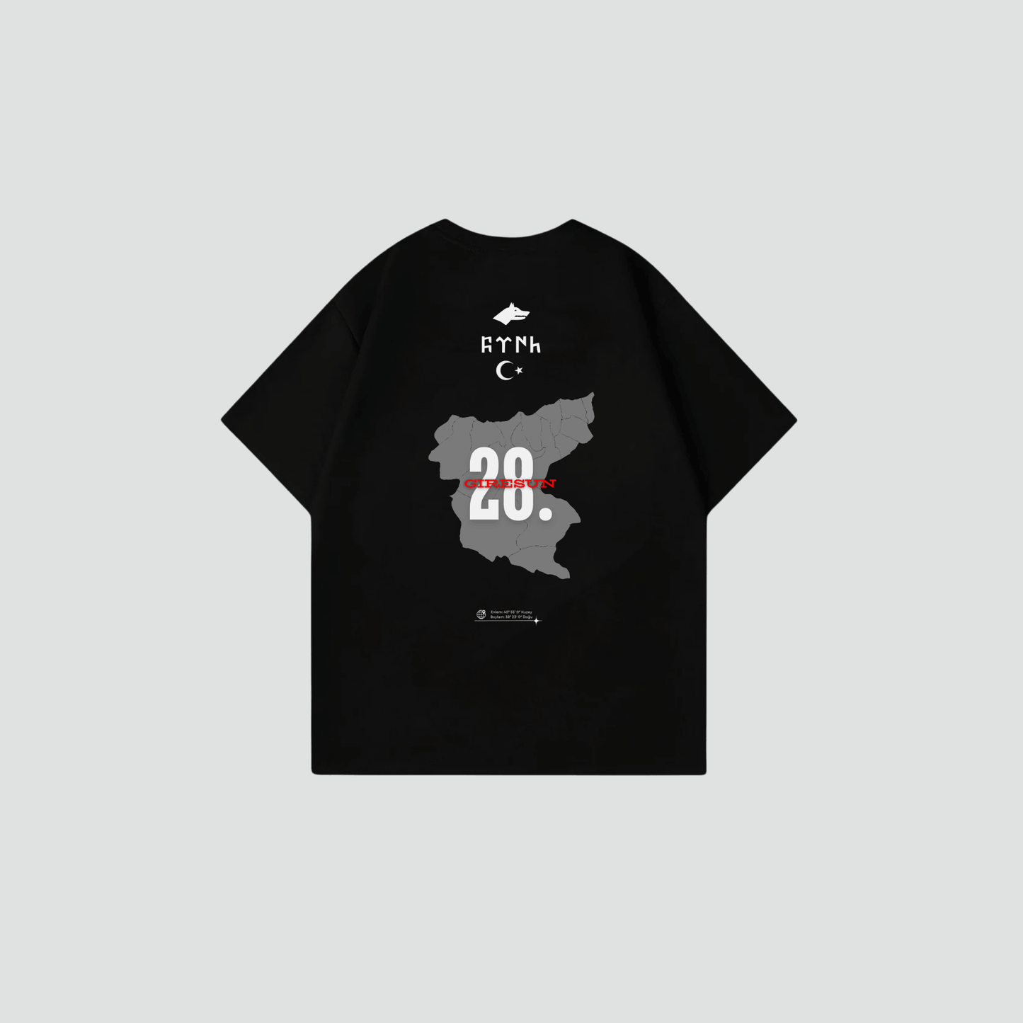 GIRESUN 28 - Oversize Shirt Backprint