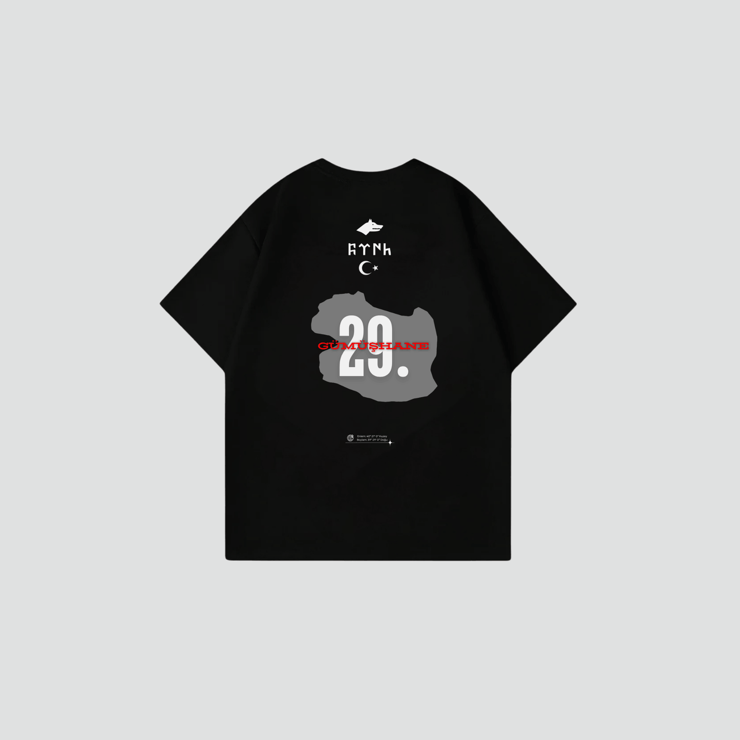 GÜMÜSHANE 29 - Oversize Shirt Backprint