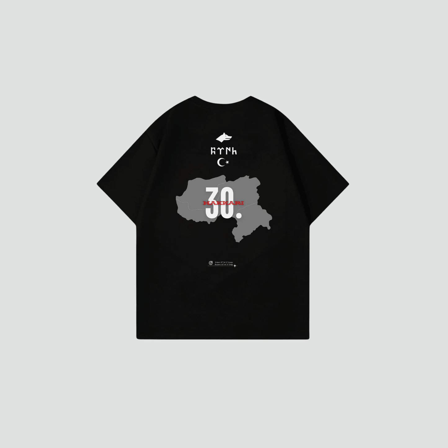 HAKKARI 30 - Oversize Shirt Backprint