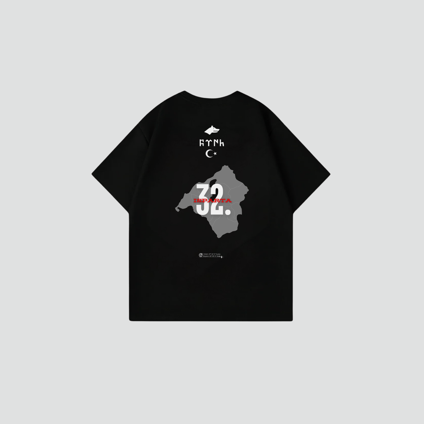 ISPARTA 32 - Oversize Shirt Backprint