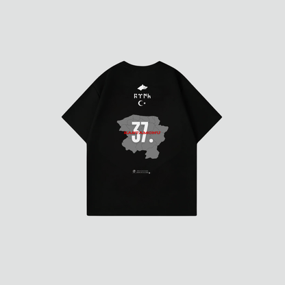 KASTAMONU 37 - Oversize Shirt Backprint