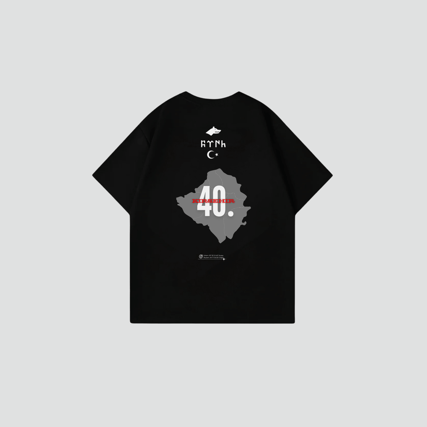 KIRSEHIR 40 - Oversize Shirt Backprint