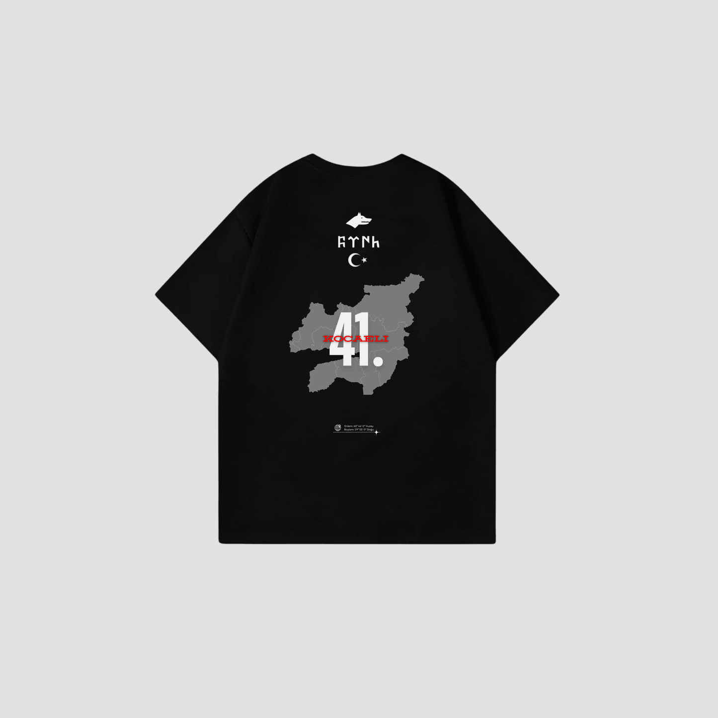 KOCAELI 41 - Oversize Shirt Backprint