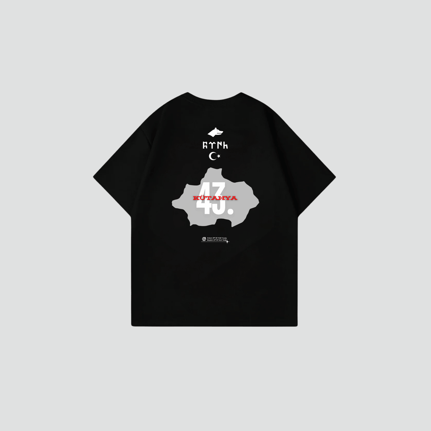 KÜTAHYA 43 - Oversize Shirt Backprint