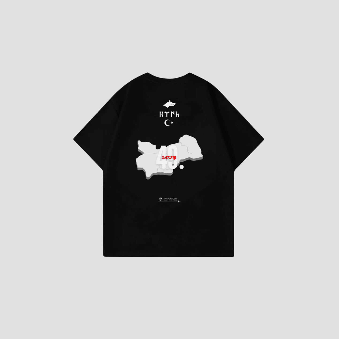 MUS 49 - Oversize Shirt Backprint
