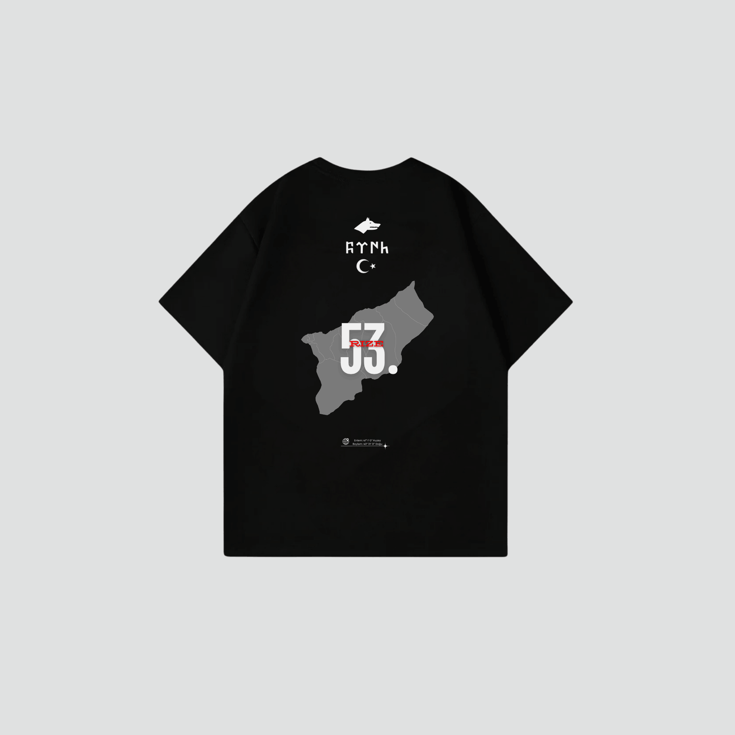 RIZE 53 - Oversize Shirt Backprint