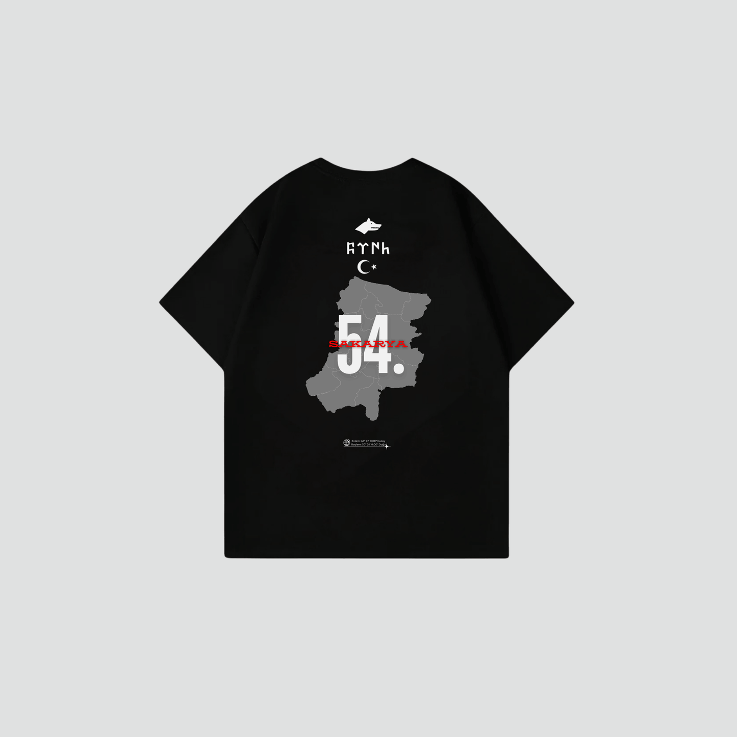 SAKARYA 54 - Oversize Shirt Backprint