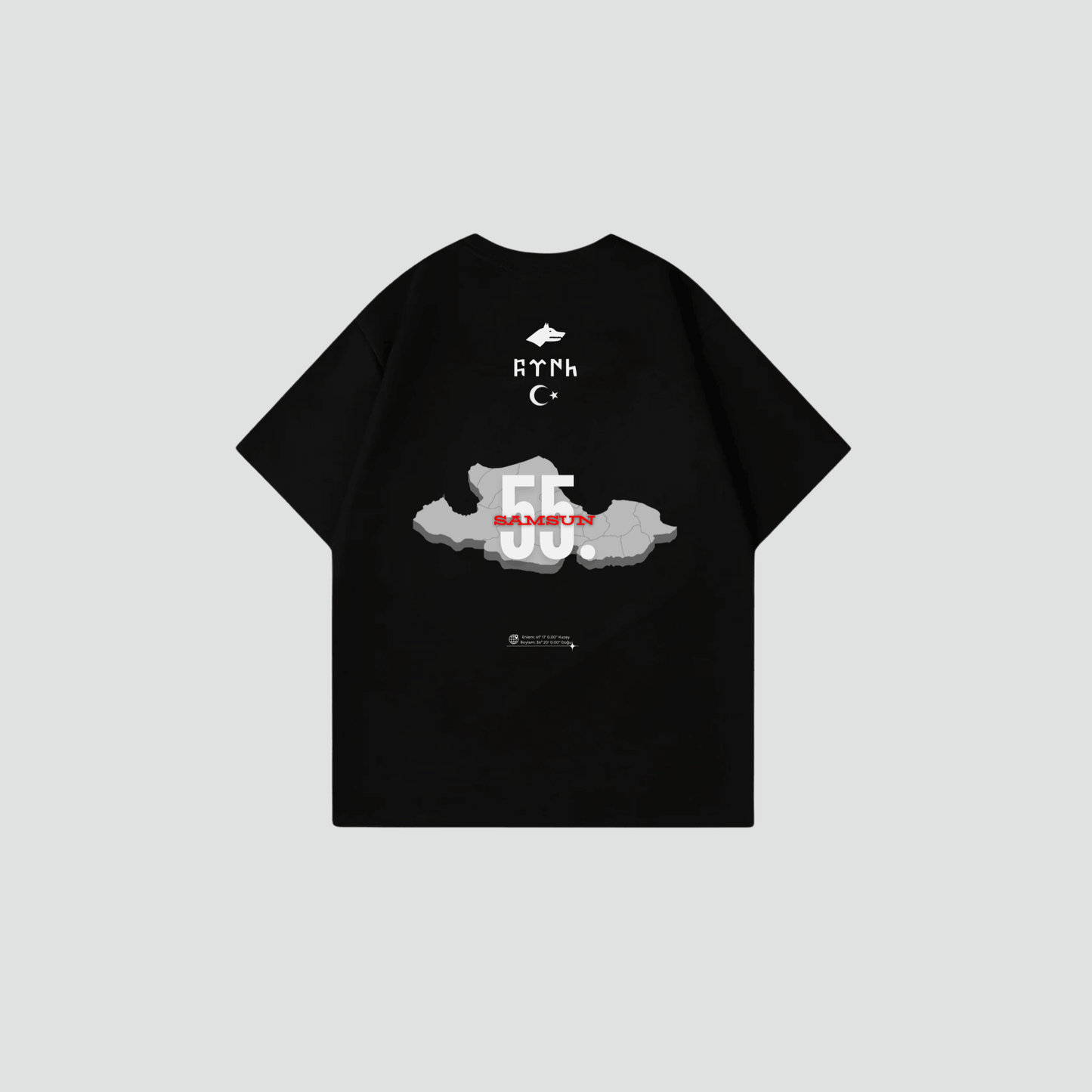 SAMSUN 55 - Oversize Shirt Backprint