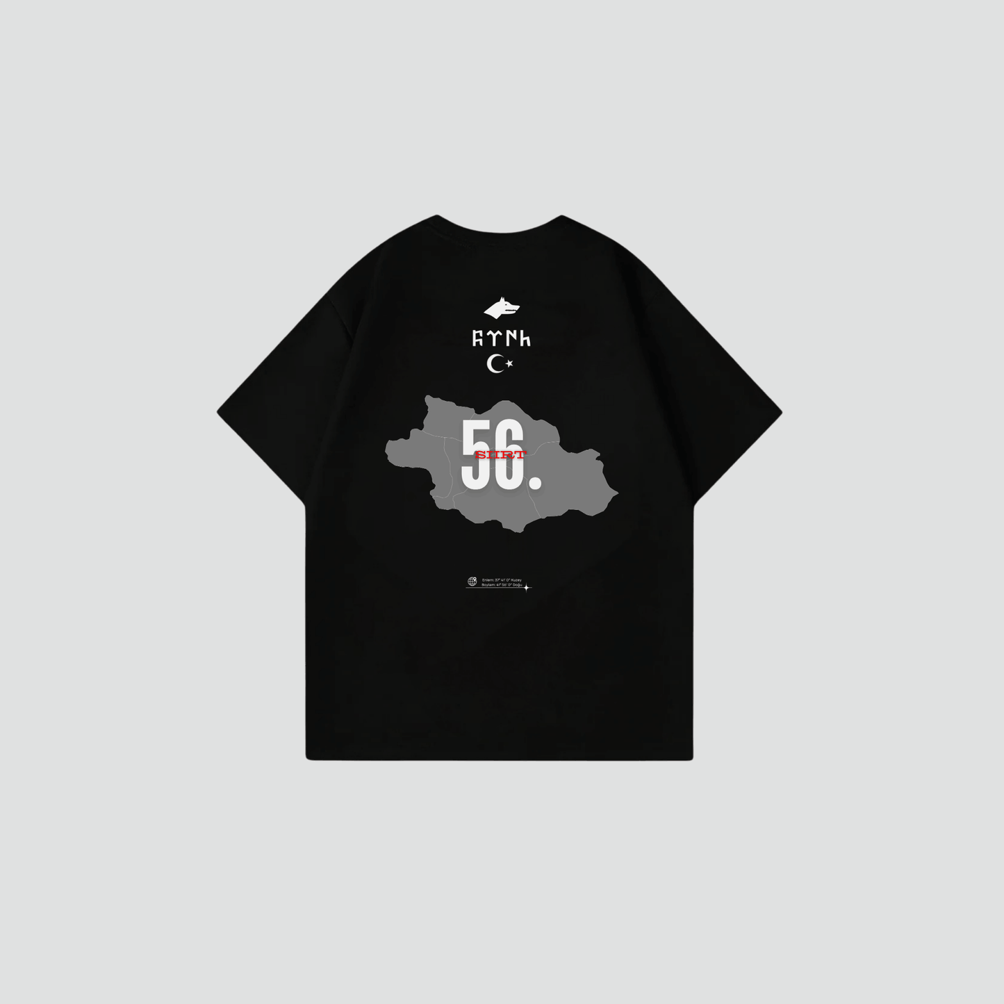 SIIRT 56 - Oversize Shirt Backprint