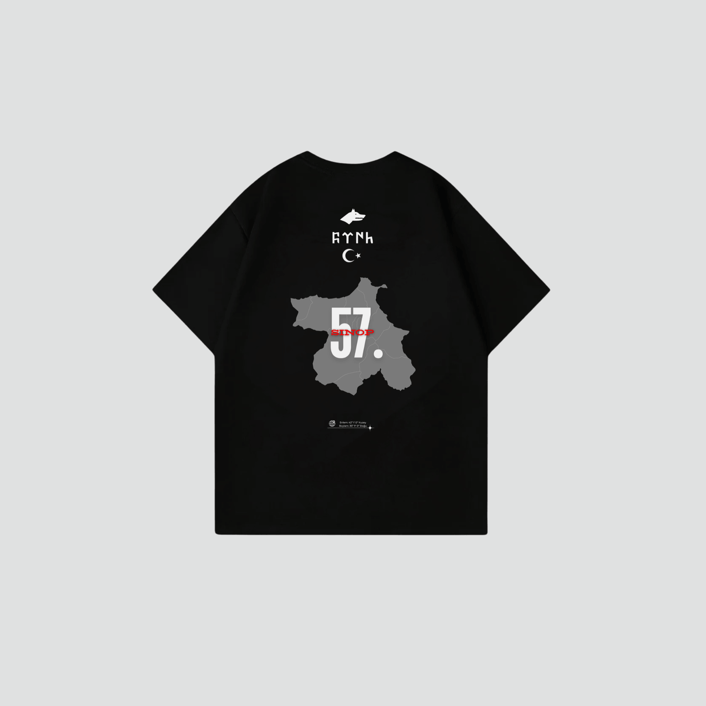 SINOP 57 - Oversized shirt met rugprint