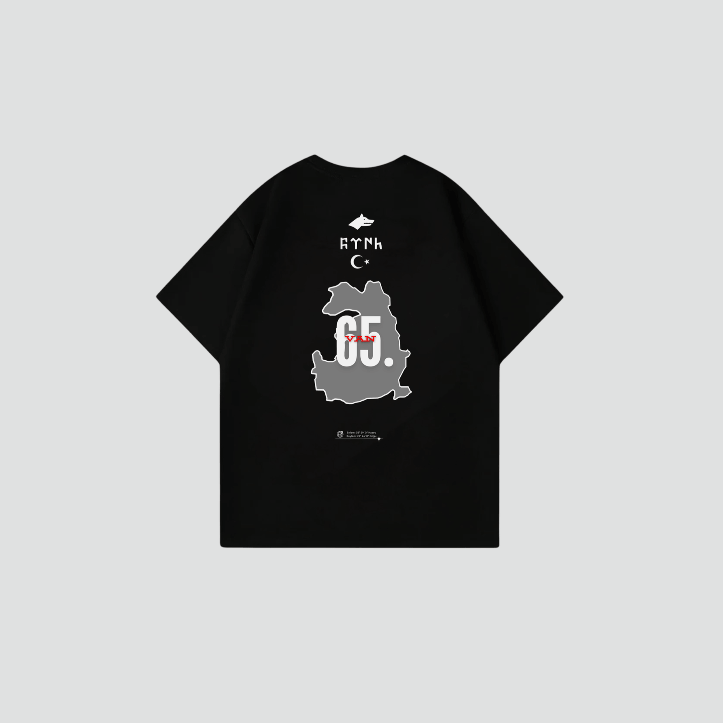 VAN 65 - Oversize Shirt Backprint