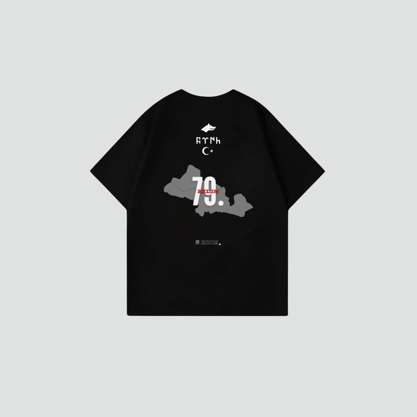 KILIS 79 - Oversize Shirt Backprint