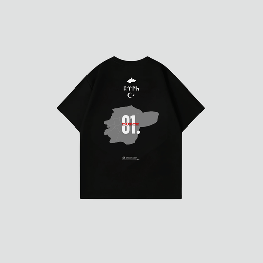DÜZCE 81 - Oversize Shirt Backprint