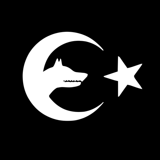 BOZKURT 2.0 - Carsticker