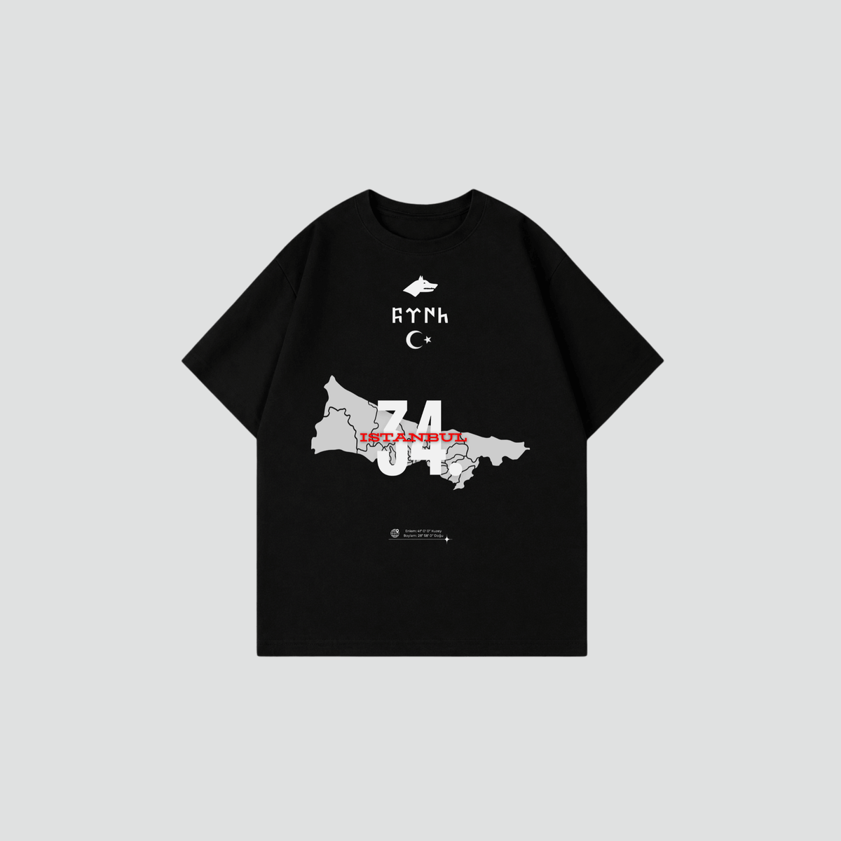 SALE ISTANBUL 34 - Oversized Shirt Frontprint