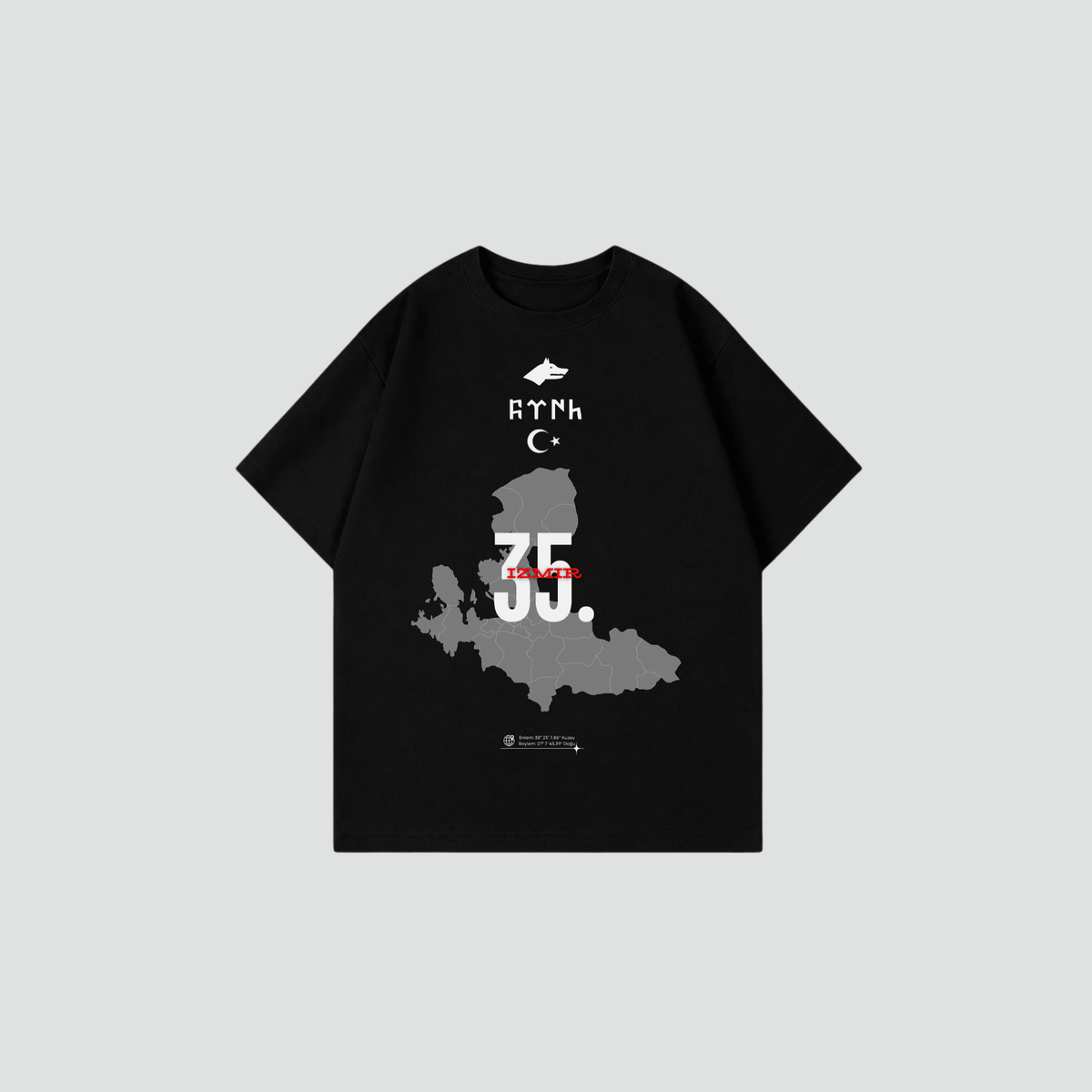 SALE IZMIR 35 - Oversized Shirt Frontprint