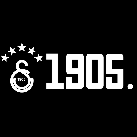 GS - Carsticker