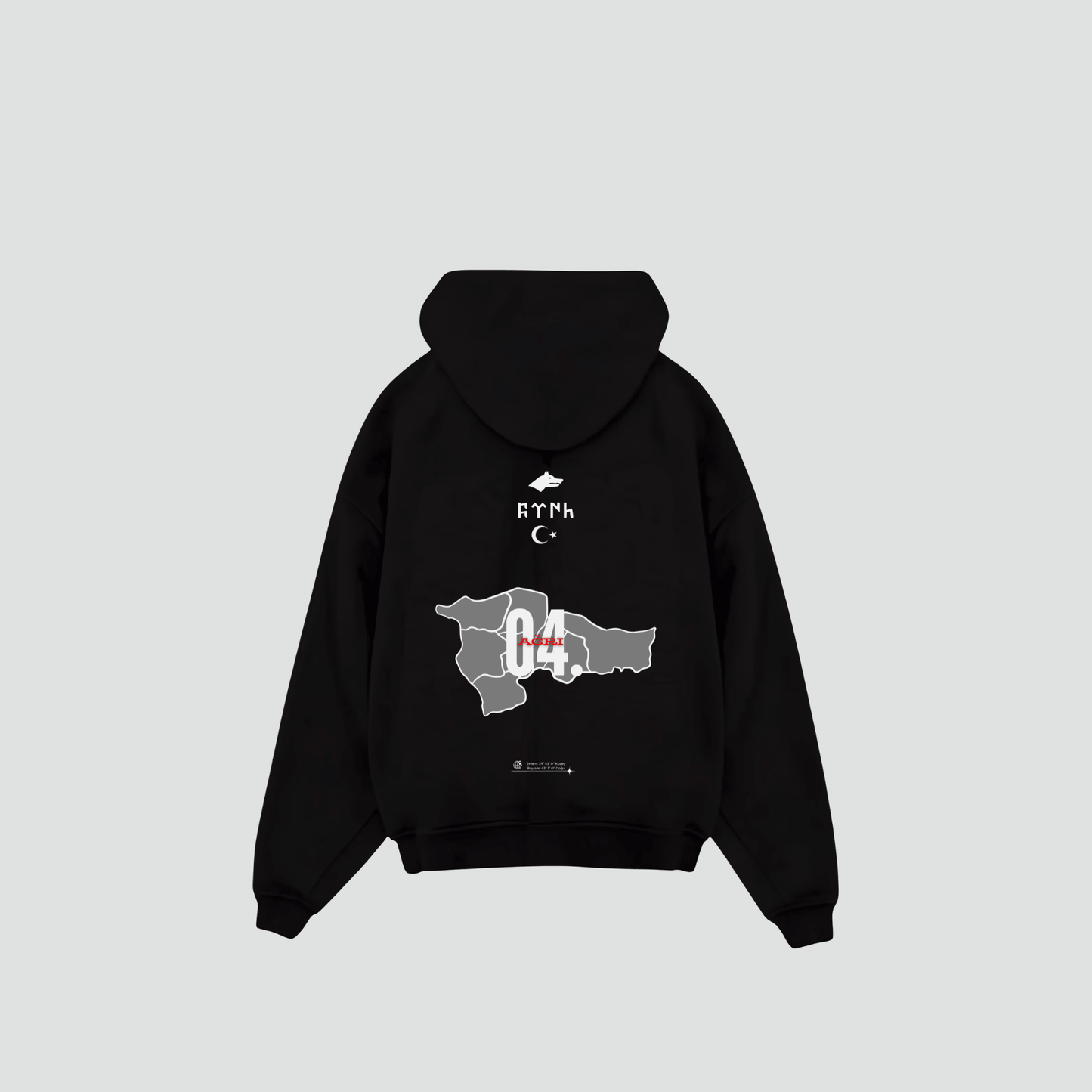AGRI 04 - Oversized hoodie met print op de rug