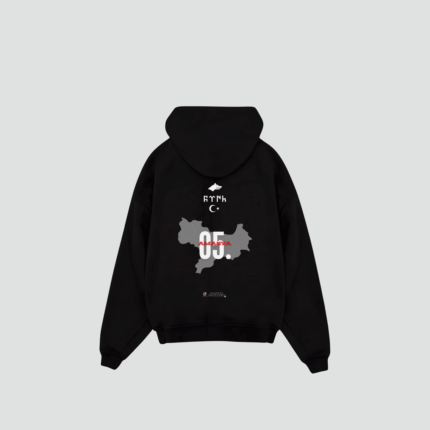 AMASYA 05 - Oversized Hoodie Backprint