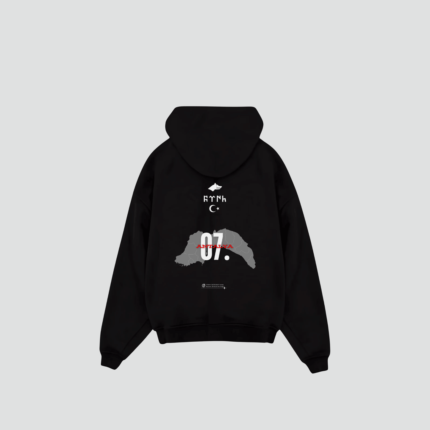 ANTALYA 07 - Oversized Hoodie Backprint