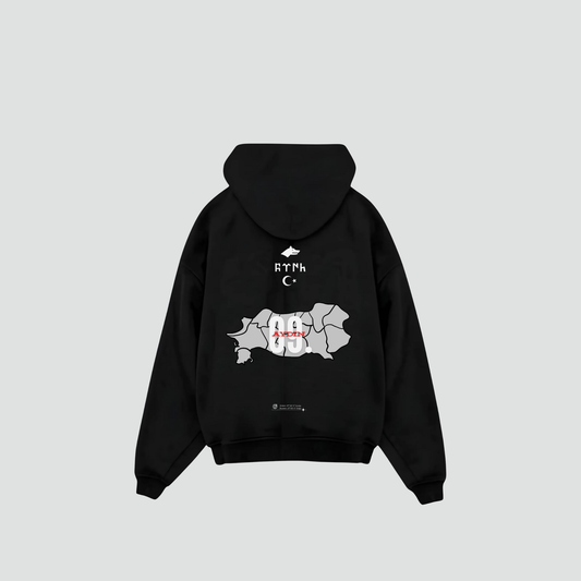 AYDIN 09 - Oversized Hoodie Backprint