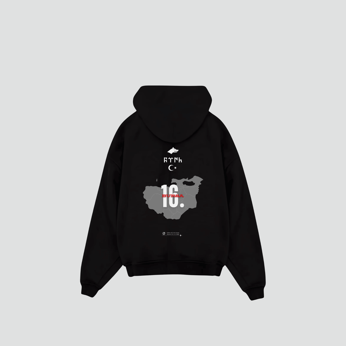 BURSA 16 - Oversized Hoodie Backprint