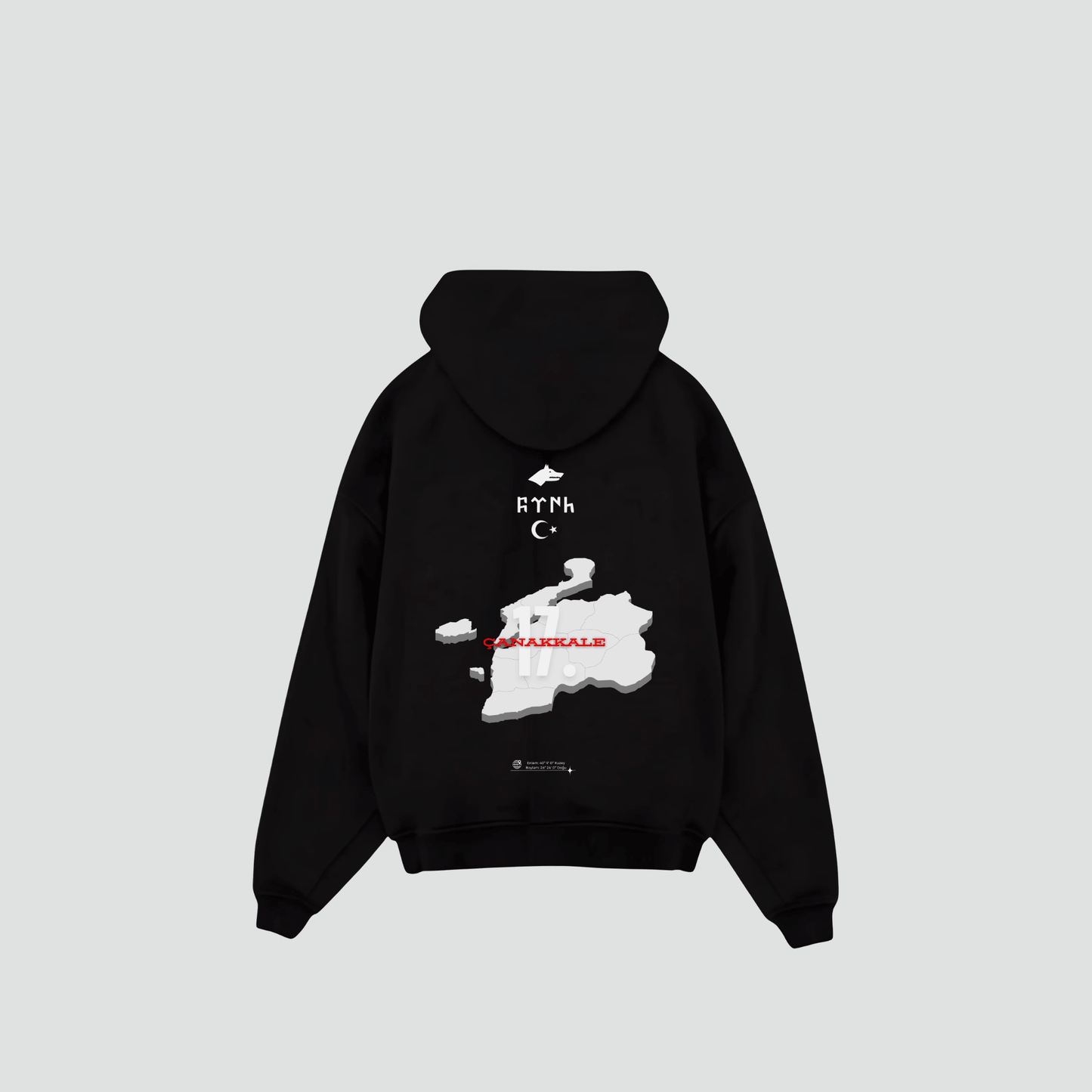 CANAKKALE 17 - Oversized Hoodie Backprint
