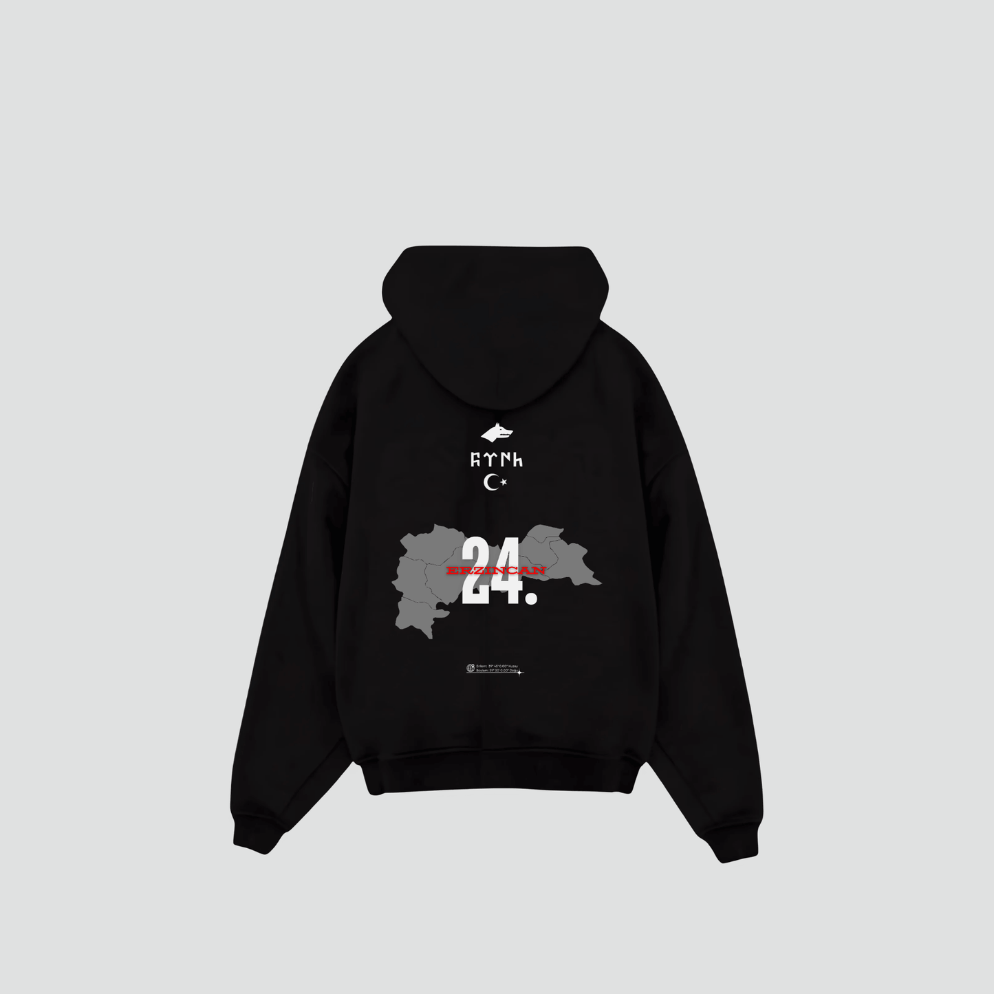 ERZINCAN 24 - Oversized Hoodie Backprint