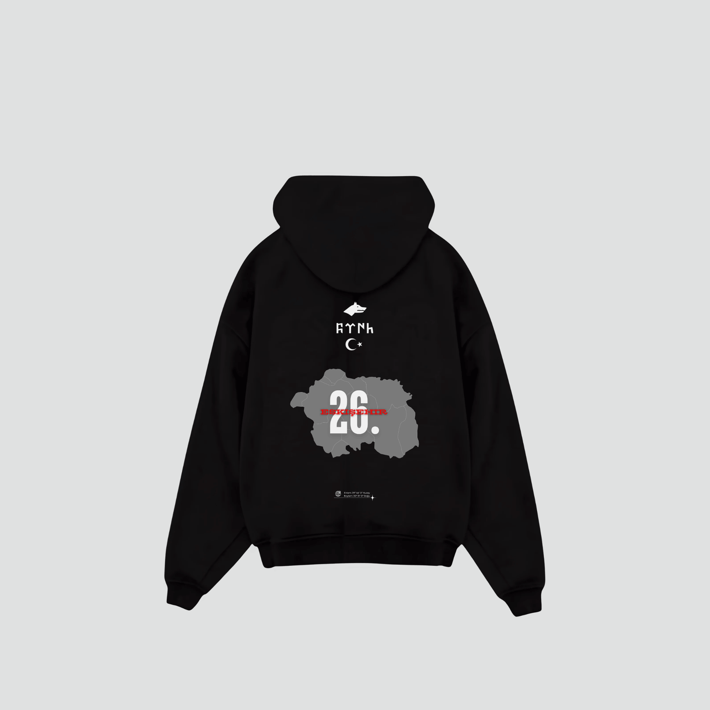 ESKISEHIR 26 - Oversized Hoodie Backprint