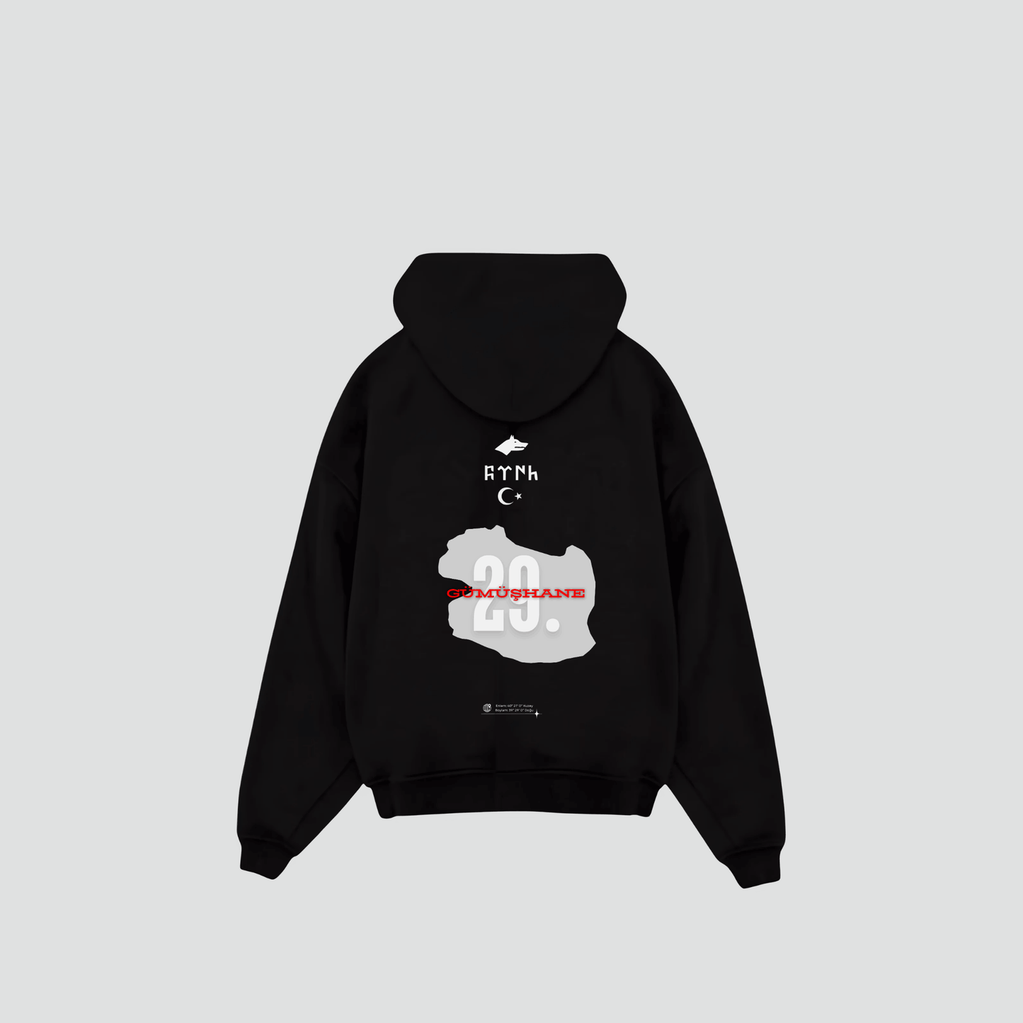 GÜMÜSHANE 29 - Oversized Hoodie Backprint