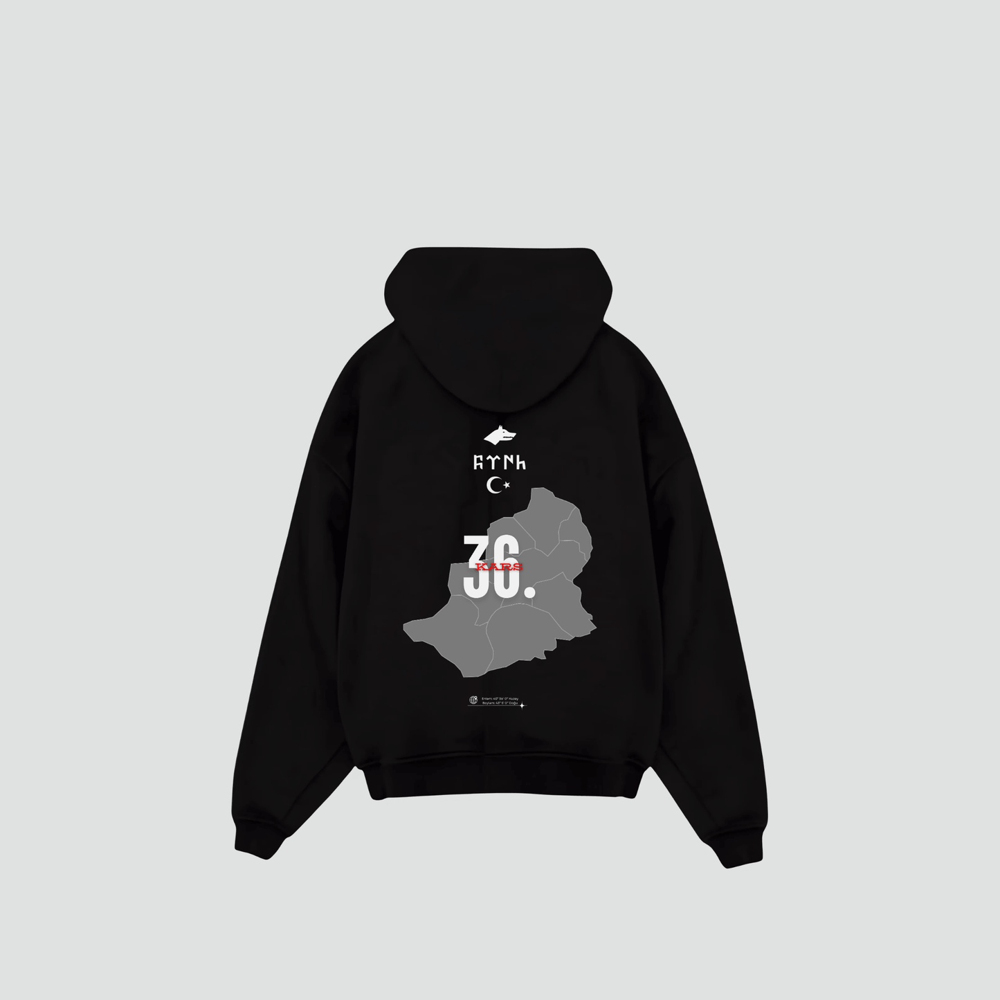 KARS 36 - Oversized Hoodie Backprint
