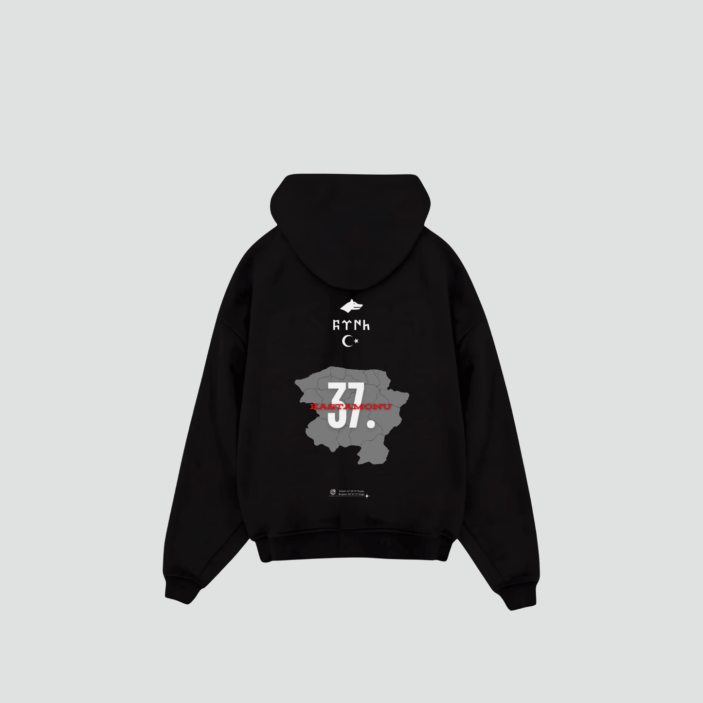 KASTAMONU 37 - Oversized Hoodie Backprint