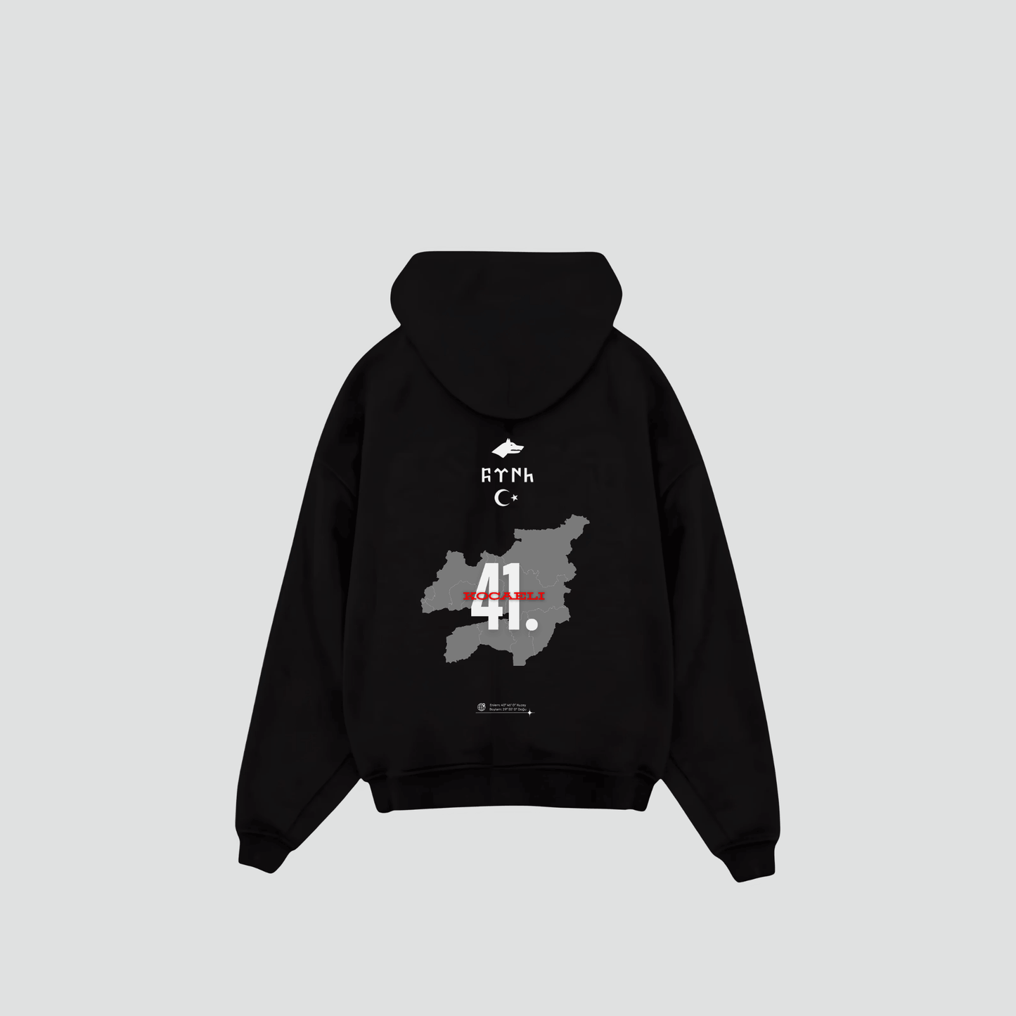 KOCAELI 41 - Oversized Hoodie Backprint