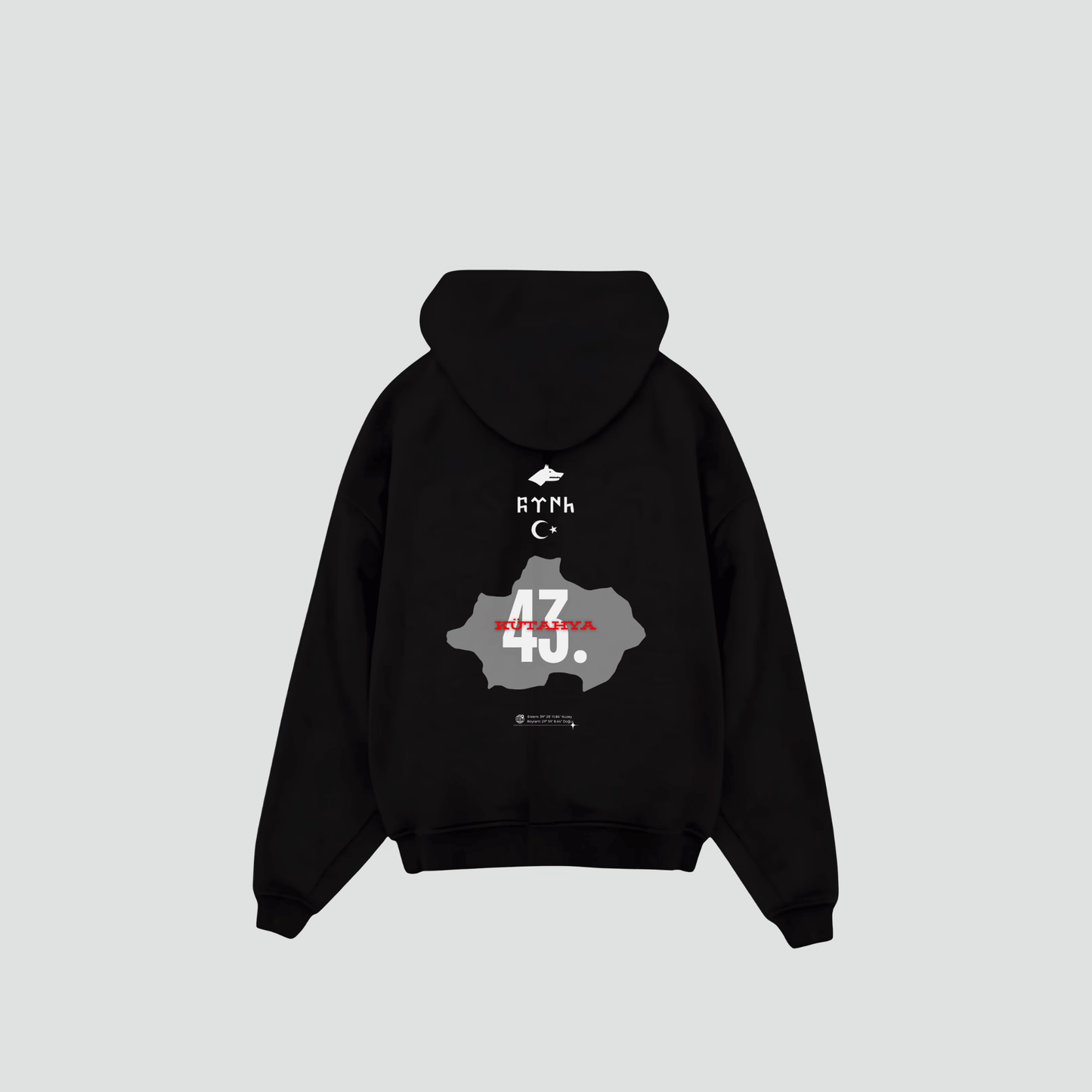 KÜTAHYA 43 - Oversized Hoodie Backprint