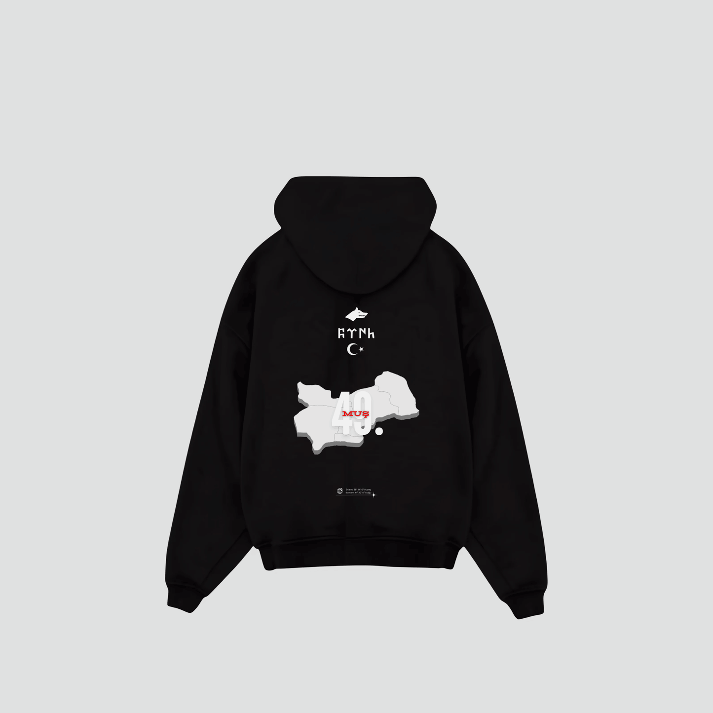 MUS 49 - Oversized Hoodie Backprint