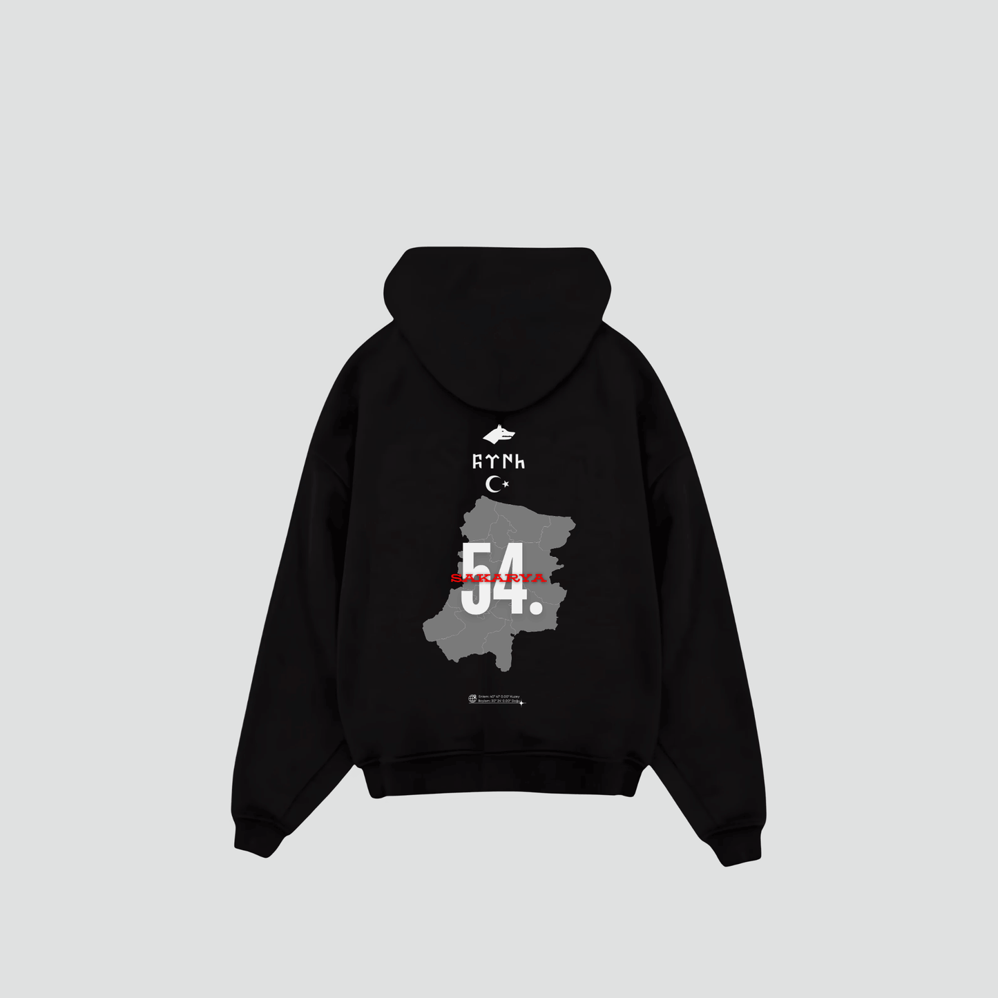 SAKARYA 54 - Oversized Hoodie Backprint