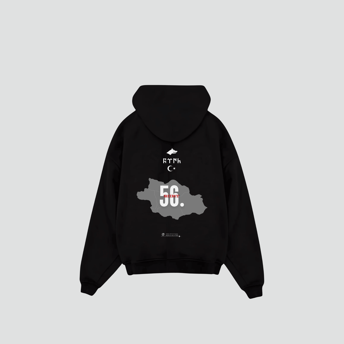 SIIRT 56 - Oversized Hoodie Backprint
