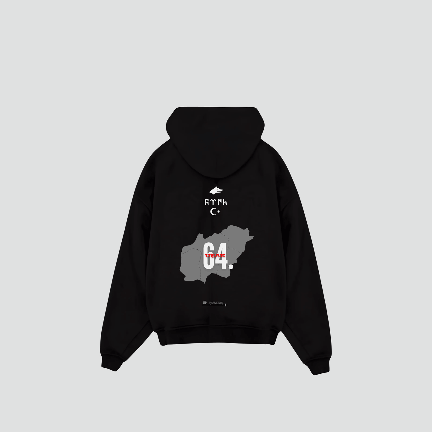 USAK 64 - Oversized Hoodie Backprint