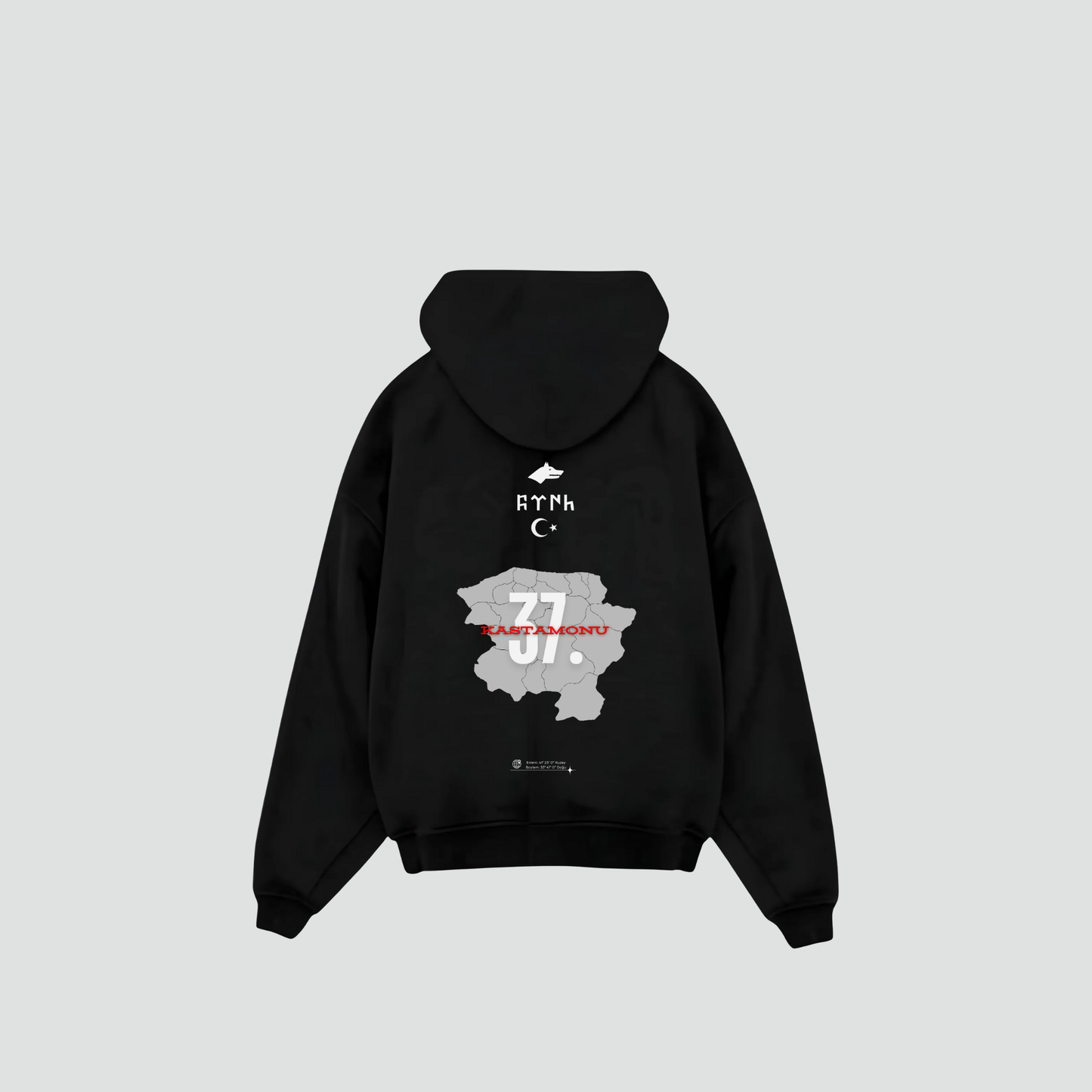 KASTAMONU 37 - Oversized Hoodie Backprint