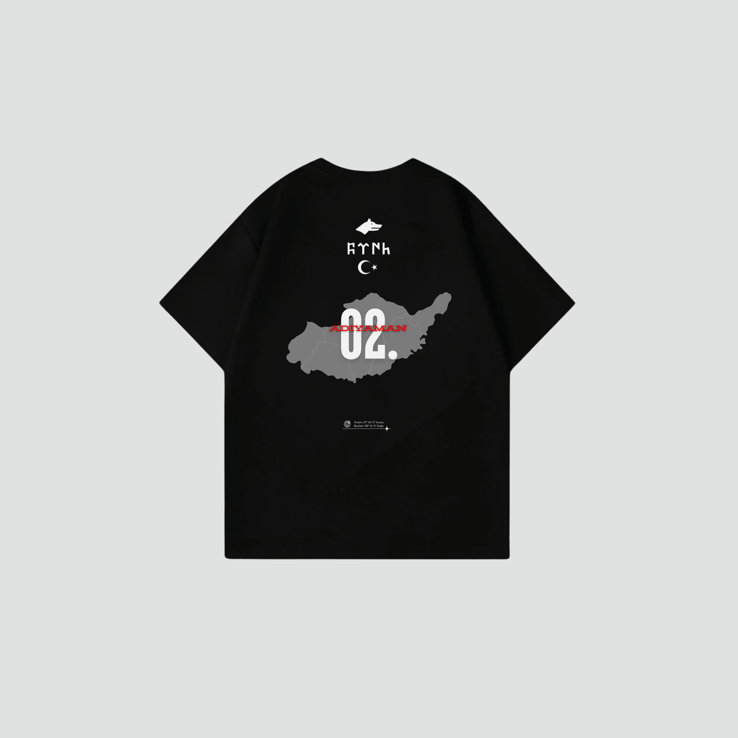 ADIYAMAN02 - Oversize Shirt Backprint