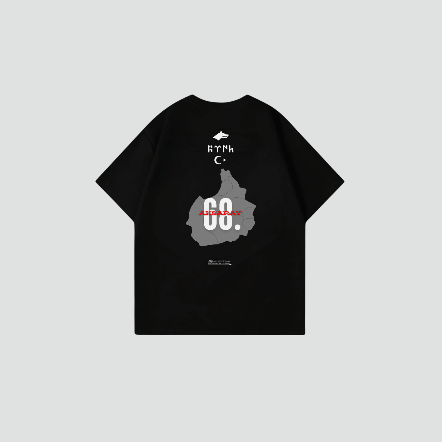 AKSARAY 68 - Oversize Shirt Backprint